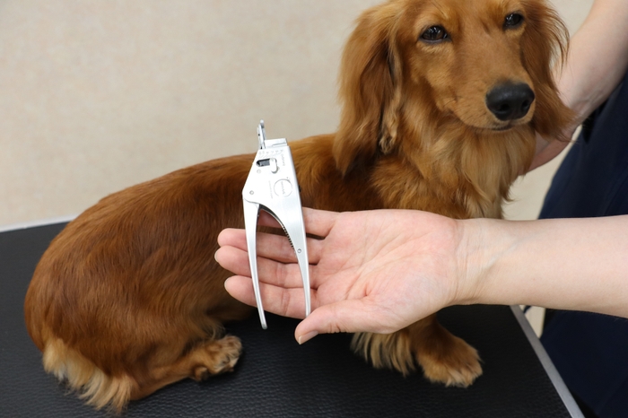 血管は切れないペット用爪切り 4