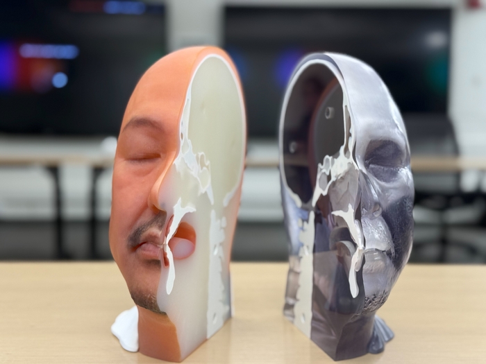 顔を0.02mm精度で再現した『3D Live Clone Face Model』プロトタイプ (発案者富田大介本人データによる精密再現)(2)