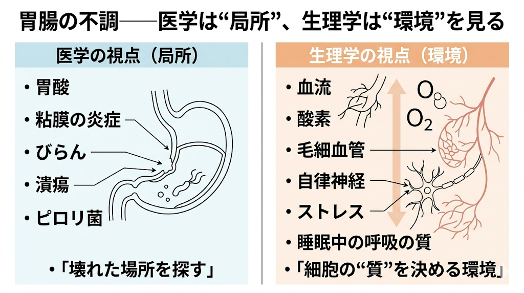 胃腸の不調は“胃腸”だけの問題ではない──全身で起きているサインとは。トラタニ株式会社が最新レポートを公開