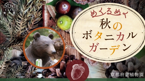 きのこ展や紅葉ライトアップなど、植物園の多種多彩な秋を楽しむ 『めくるめく秋のボタニカルガーデン』を開催　 10月25日(土)～12月7日(日)