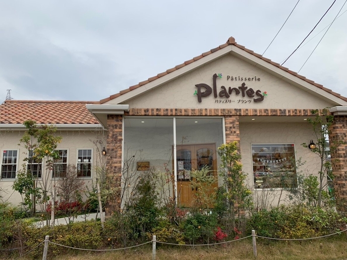 Patisserie plantes