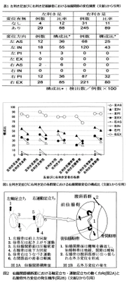 身体のパフォーマンスに影響をもたらす仙腸関節の歪みについて　 (1)左ならびに右利き足者の腸骨変位像の研究結果を発表　 (2)二足歩行の不可避な生理機構の研究結果を発表