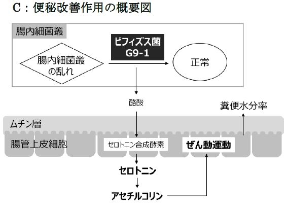 便秘改善作用の概要図