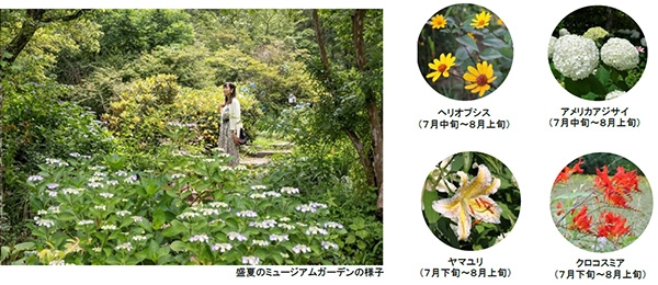 <ミュージアムガーデンについて>
