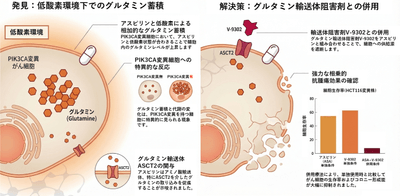 本研究の成果
