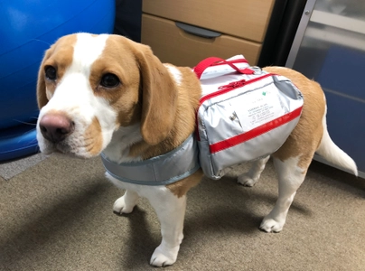 愛犬が自分で持ち運べる“災害時の避難用バッグ”　 医療用品3点セット付の「避難ライフバッグ」を 防災キャンペーンとして10％offの特別価格で販売！