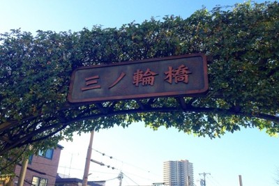 プロジェクトの内容