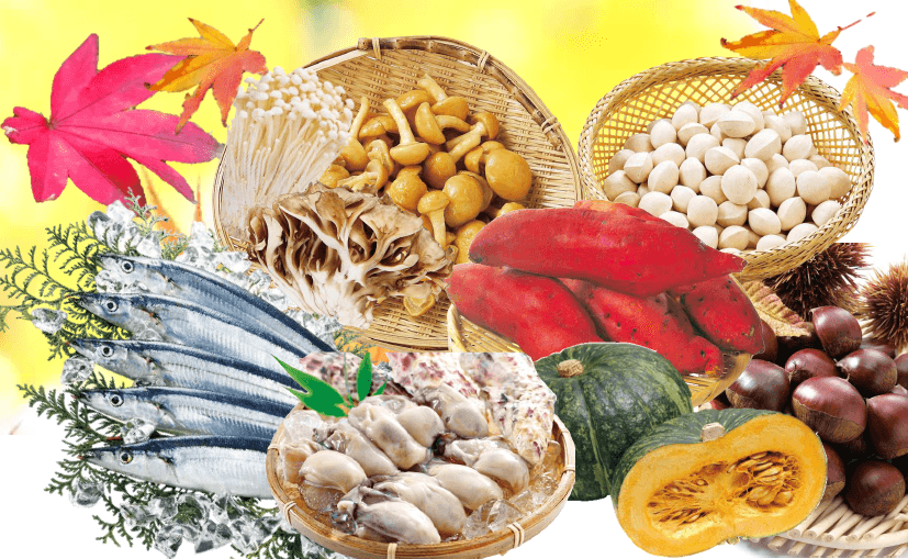 ※写真はイメージです