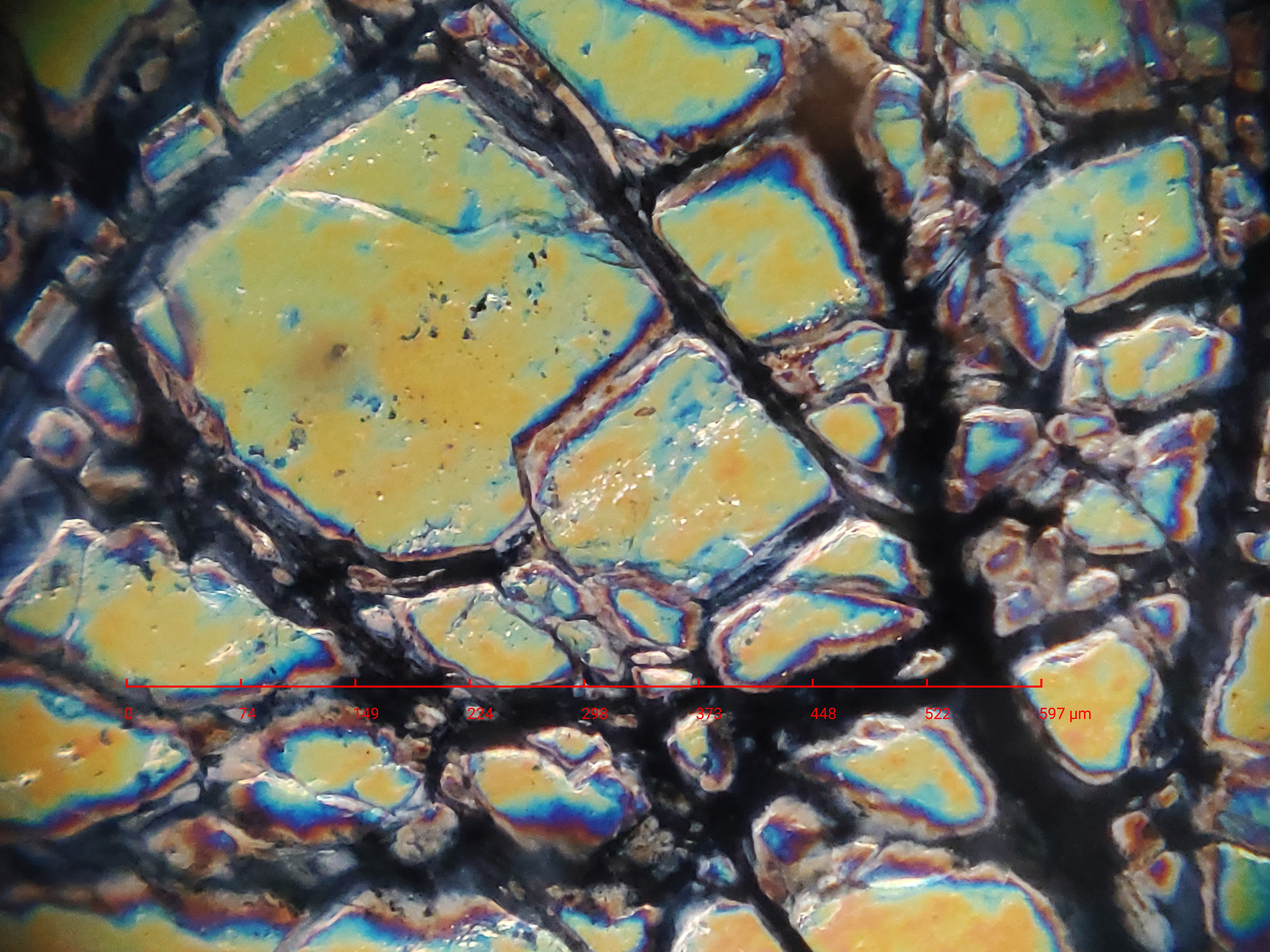 撮影例(岩石薄片)