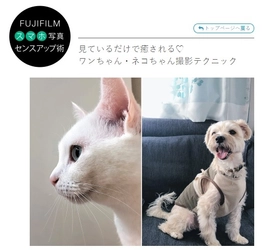 「FUJIFILM スマホ写真センスアップ術」見ているだけで癒される　ワンちゃん・ネコちゃん撮影テクニックを公開