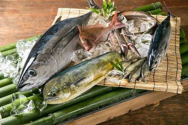 タイムセール　本日の地魚