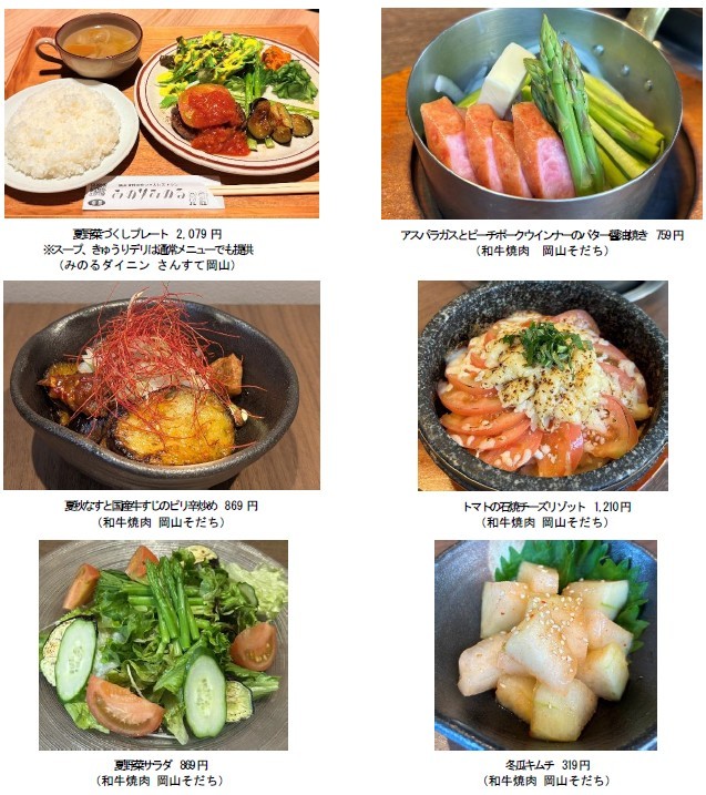 ～岡山野菜を食べて暑い夏を乗り切ろう！～岡山県内の全農直営飲食店で「岡山県産夏野菜フェア」を８月１日（土）～８月３１日（月）に開催