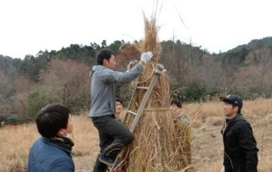 茅葺き屋根修復に使う"茅刈り"ワークショップ　学生が挑む「かやぶき古民家保存・再生プロジェクト」