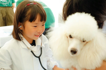 獣医師の仕事を知る・動物とふれあうイベント12月1日開催 『2018動物感謝デー in JAPAN “World Veterinary Day”』