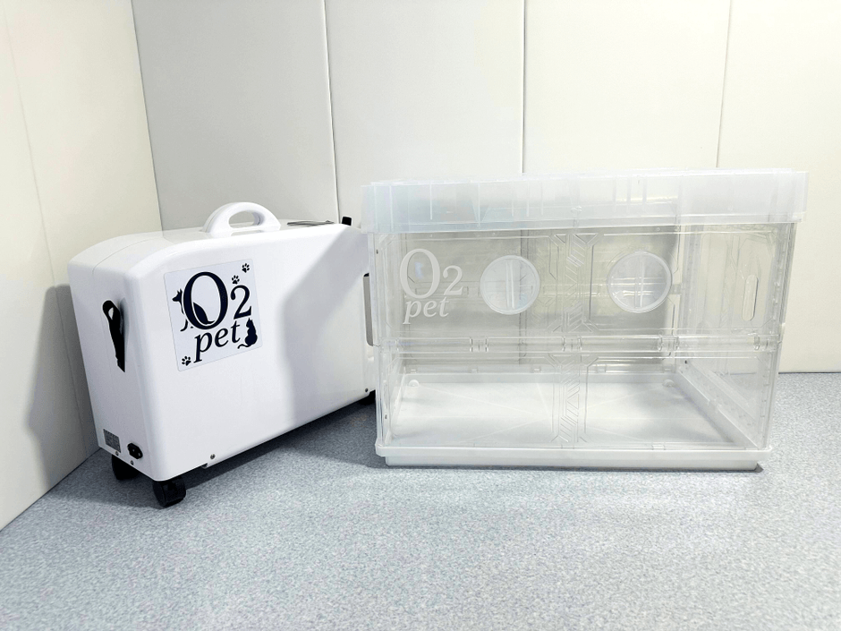 ペットの快適な酸素浴をもっと身近に ペット用酸素室「オーツーペット