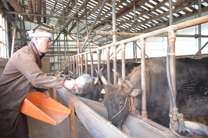 但馬牛の名生産者、上田畜産