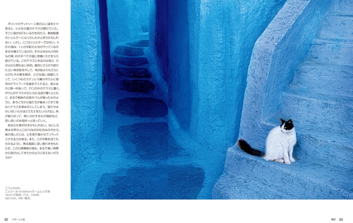 『ナショナルジオグラフィック プロの撮り方ストリートフォト』中面