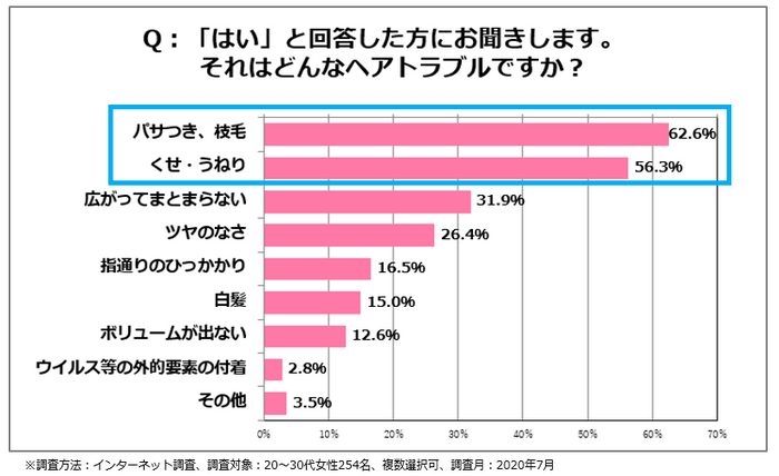 <図5>悩みある人。どんなヘアトラブルか