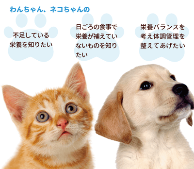 フソクタス(不足+)パッケージイメージ01