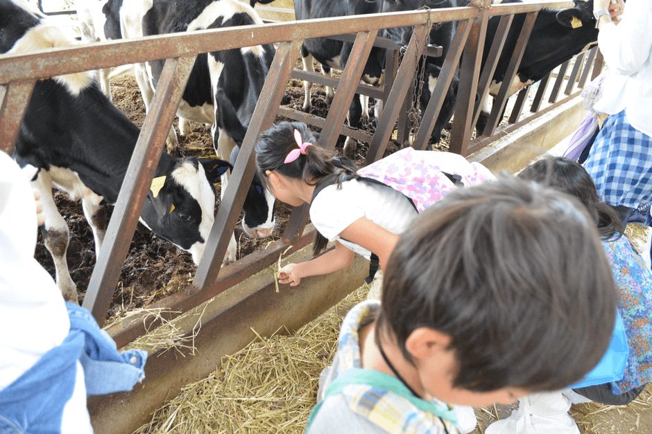 財団主催「茨城の牧場を訪ねるツアー」(2017年8月開催)より(3)