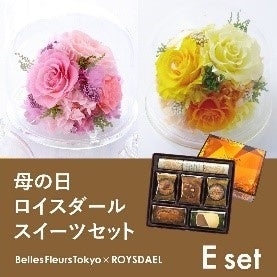 ガラスドームLとスイーツセット(E set)