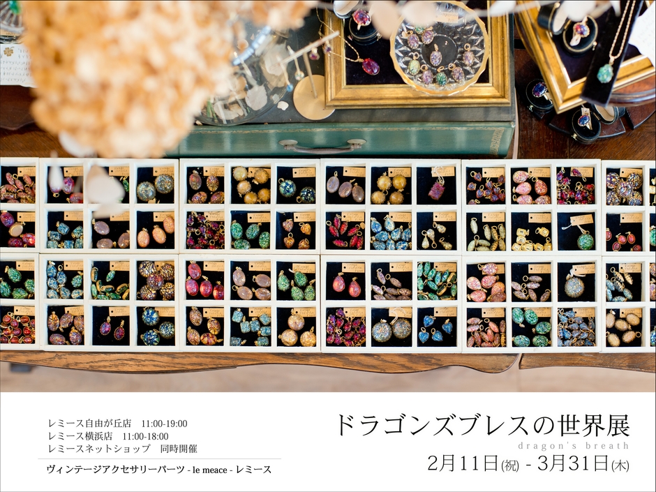 ドラゴンズブレスの世界展