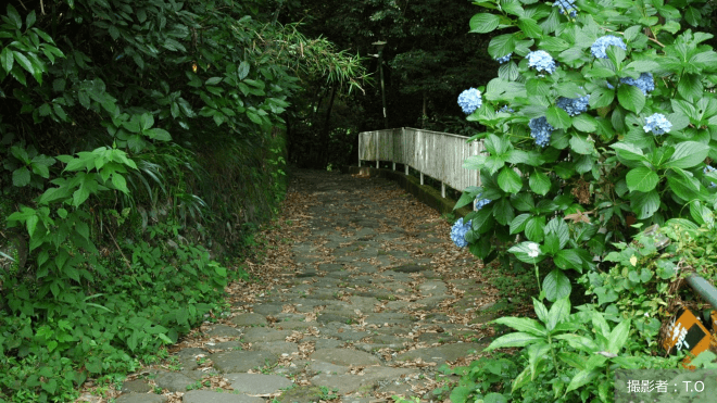 これからの時代の「通行手形」道路を支える石畳と通行ルール