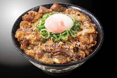 “岩塩”の旨みたっぷりの豪快焼肉を堪能せよ！ 3月1日(火)全国のすた丼屋で『豪快W牛岩塩焼肉丼』を発売！ 肉＆ニンニクパワーで忙しい新生活シーズンを乗り切ろう！