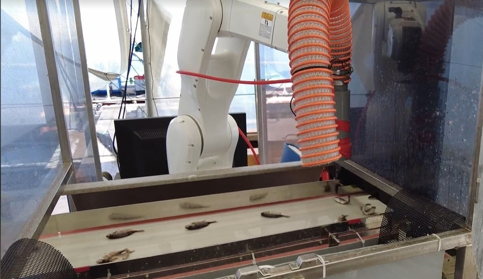 マダイ稚魚自動選別装置