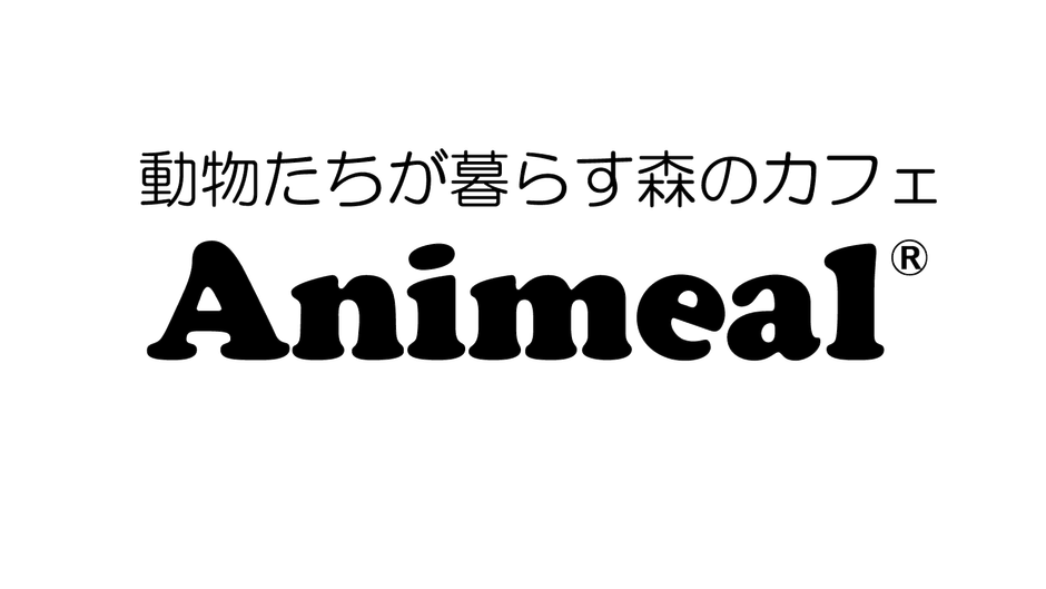 日付上部店舗ロゴ