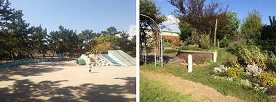 (左から)浜甲子園運動公園(西宮市)、芦屋市総合公園(芦屋市)