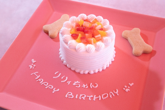 ▲「ワンちゃんバースデーケーキ」(イメージ)