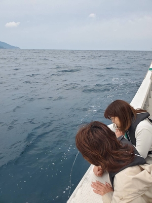 海洋散骨写真
