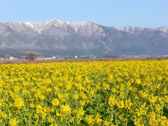 提供：Biwako Visitors Bureau