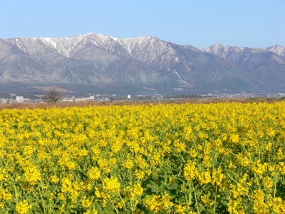 提供:Biwako Visitors Bureau