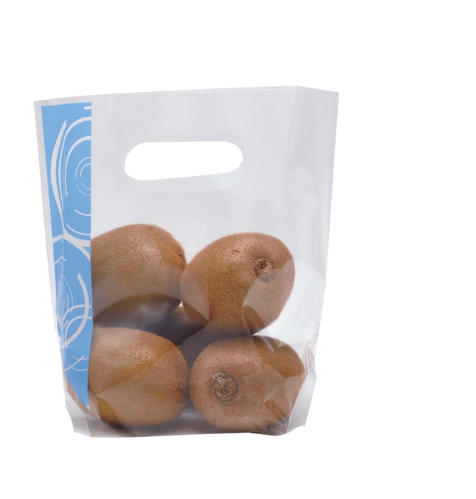 サンバッグLILLY ブルー キウイ