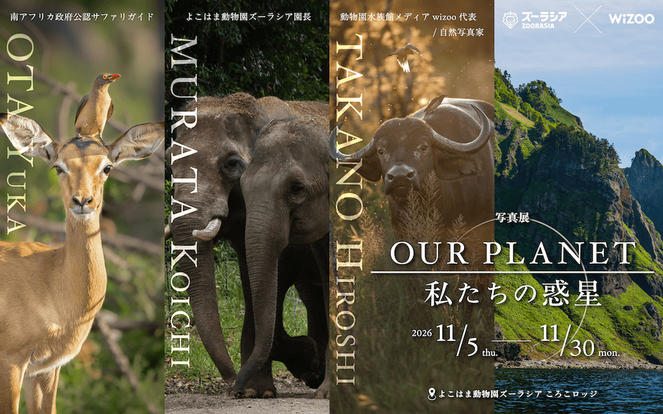 「OUR PLANET│私たちの惑星」