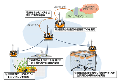 <本実証のイメージ図>