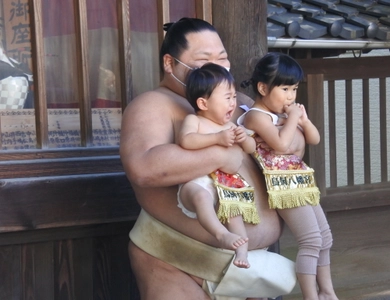 福岡県・鳥飼八幡宮で11月3日・5日開催「赤ちゃん土俵入り」　 九重部屋の力士と共に健やかな成長を祈る秋の風物詩