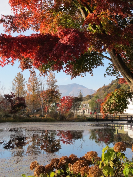 美しい紅葉、外周から浅間山を望む