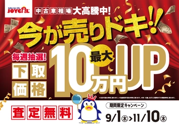 あなたの愛車は今が売りドキ！下取り最大10万円UP！！ 9/1～11/10の期間で秋のキャンペーンを開催