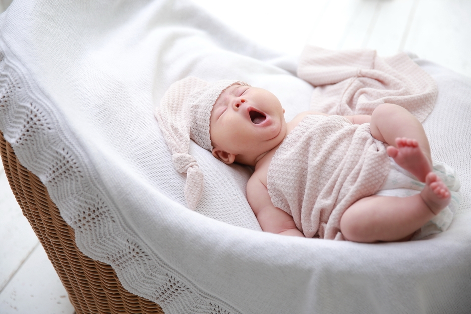 写真：ライフスタジオ