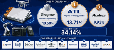 図. 世界の高倍率リチウムイオンポリマー電池市場における上位13社のメーカーランキングおよび市場シェア