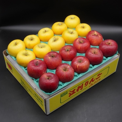 江刺りんご「サンふじ&シナノゴールド」20玉【小玉】5kg