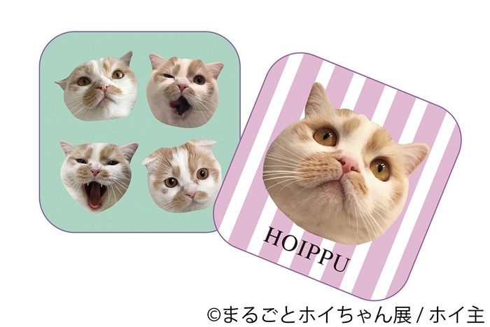 <ホイ主>ハンカチ 各種1,000円(税別)