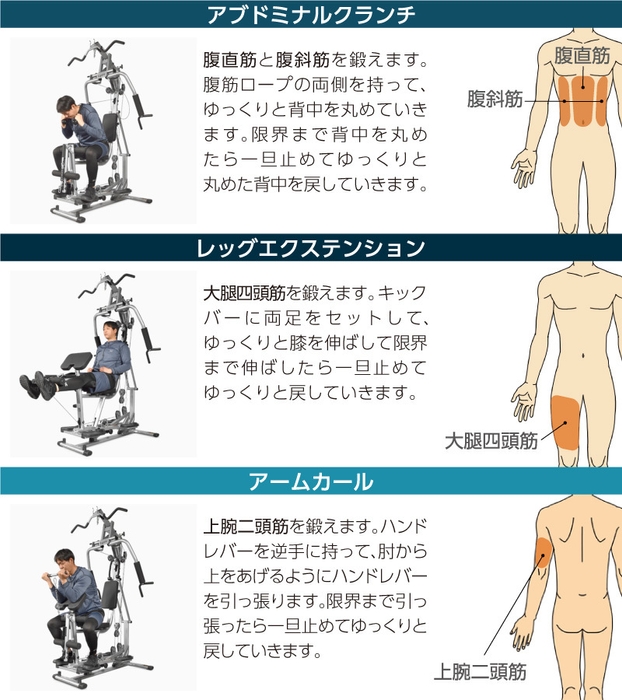 鍛えられる部位3