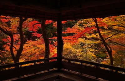 「秋の昇仙峡旅しよう」キャンペーン