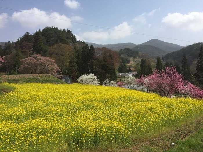 田植え前の風景