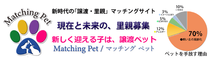 Matching Pet -2