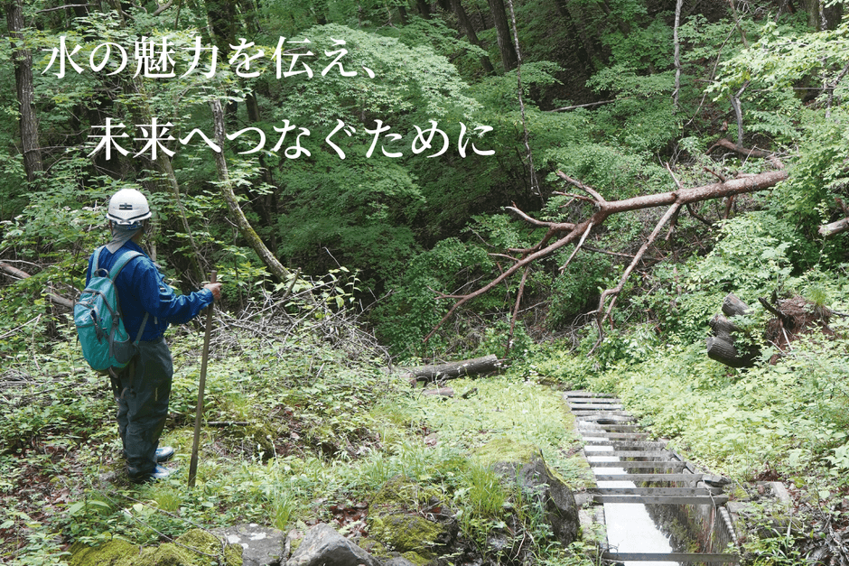 プロジェクトの未来